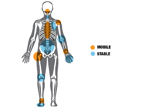 Preventing back pain in young athletes